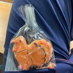 Meet your Posher, Will